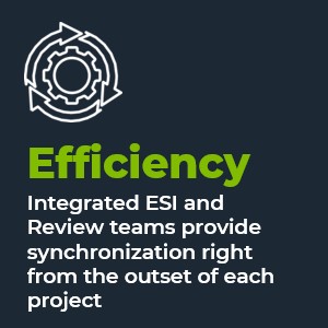 Efficiency. Integrated ESI and Review teams provide synchronization right from the outset of each project.