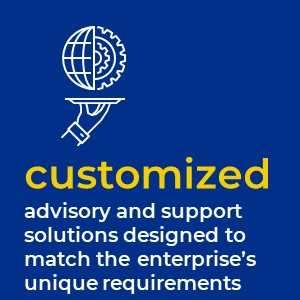 customized advisory and support
