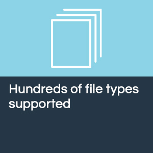 hundreds of file types supported