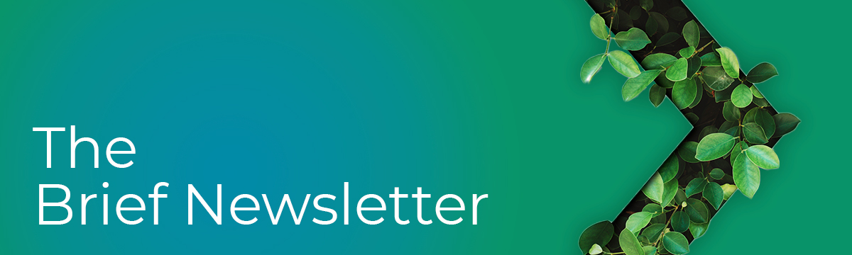 The Epiq Brief January 2026 Newsletter