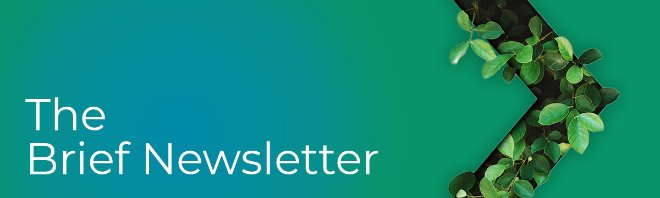 The Epiq Brief: November and December 2025