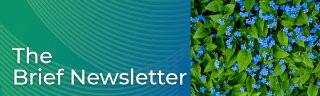 The Epiq Brief: July 2025 Edition