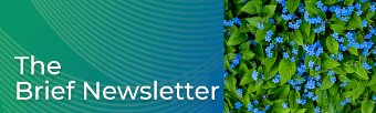 The Epiq Brief: July 2025 Edition
