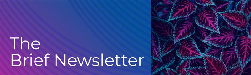 The Epiq Brief: August 2025 Edition
