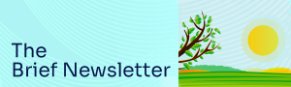 The Epiq Brief June 2025 Edition